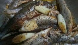 蚝油小鱼爆料图片高清视频,蚝油小鱼幕后爆料，独家视频带你一探究竟